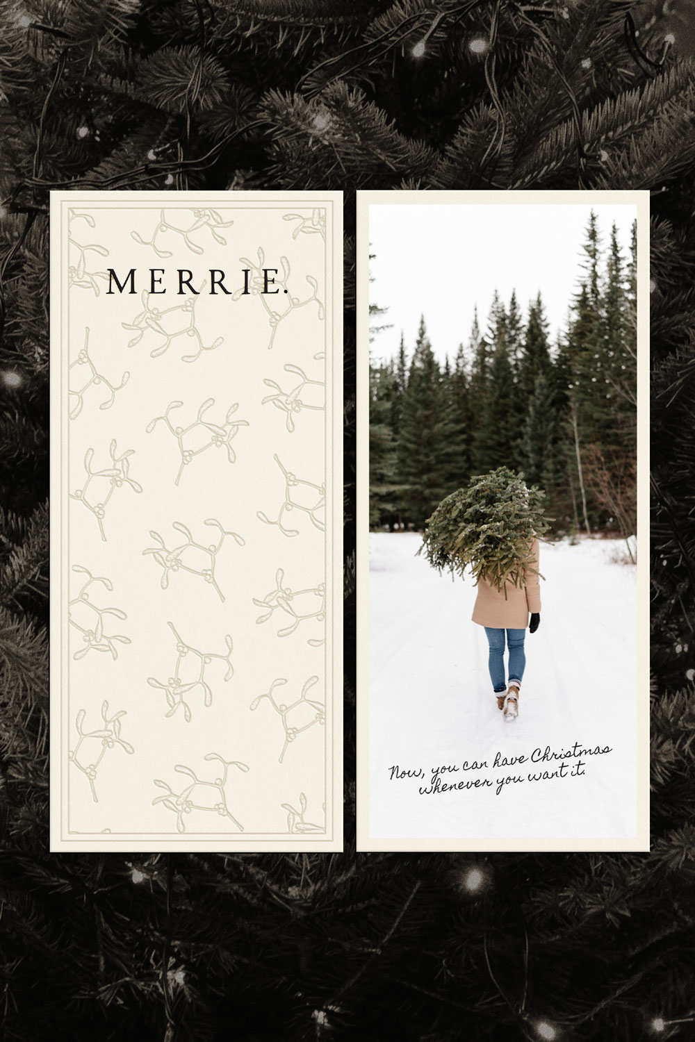 hand illustrated brand design for merrie